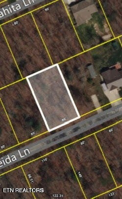 Photo of Listing #3002112