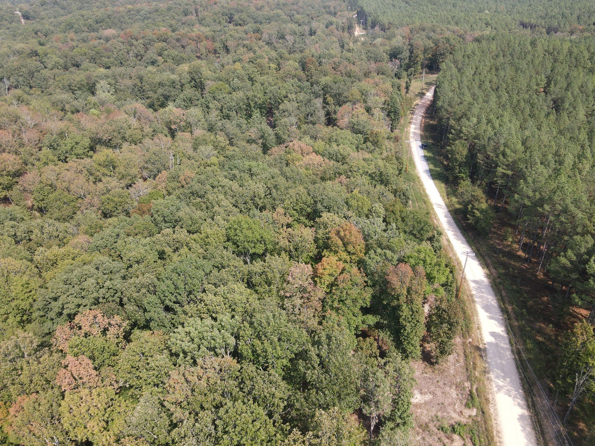 Photo of Listing #3002122