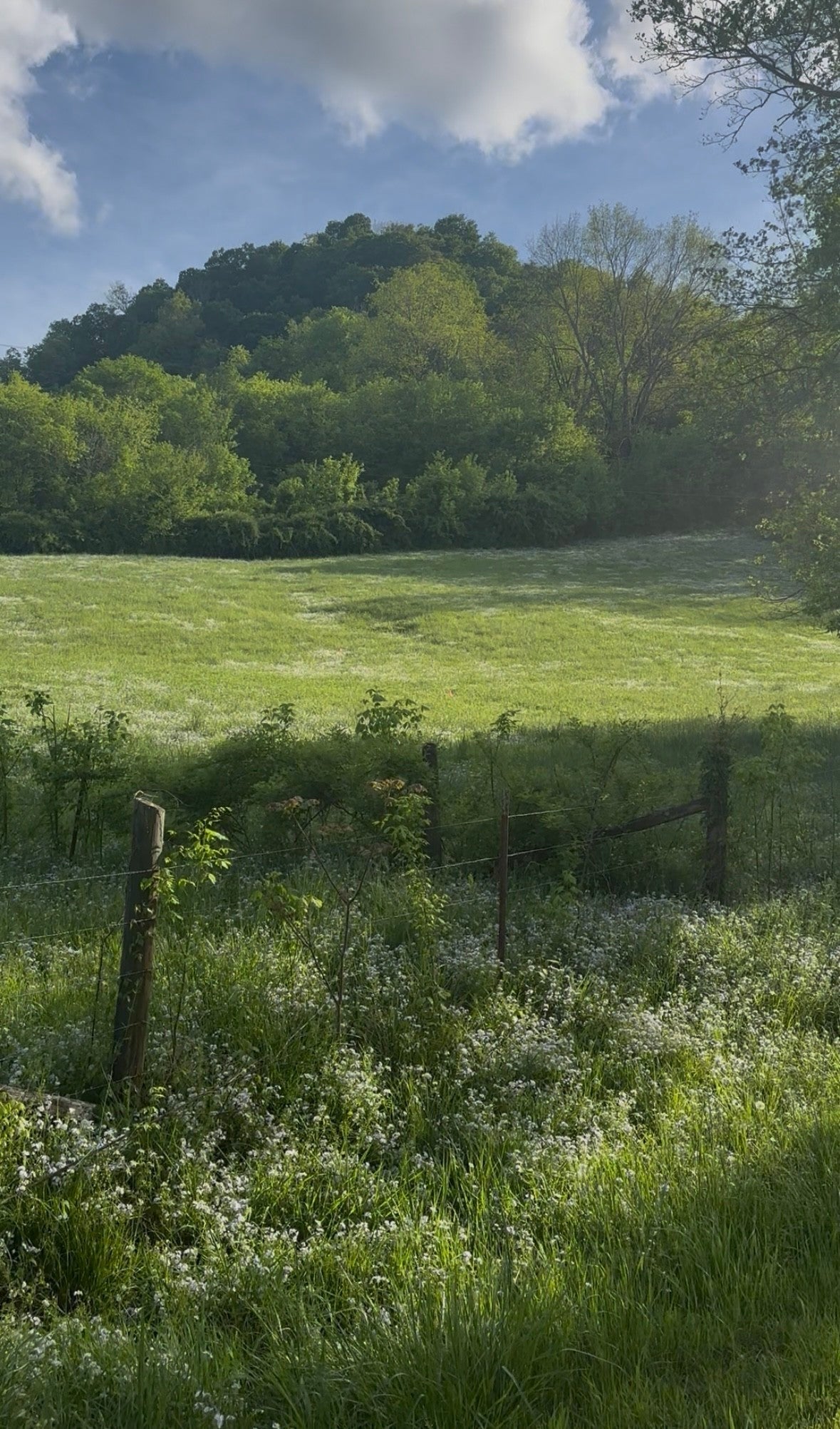 Photo of Listing #3002138