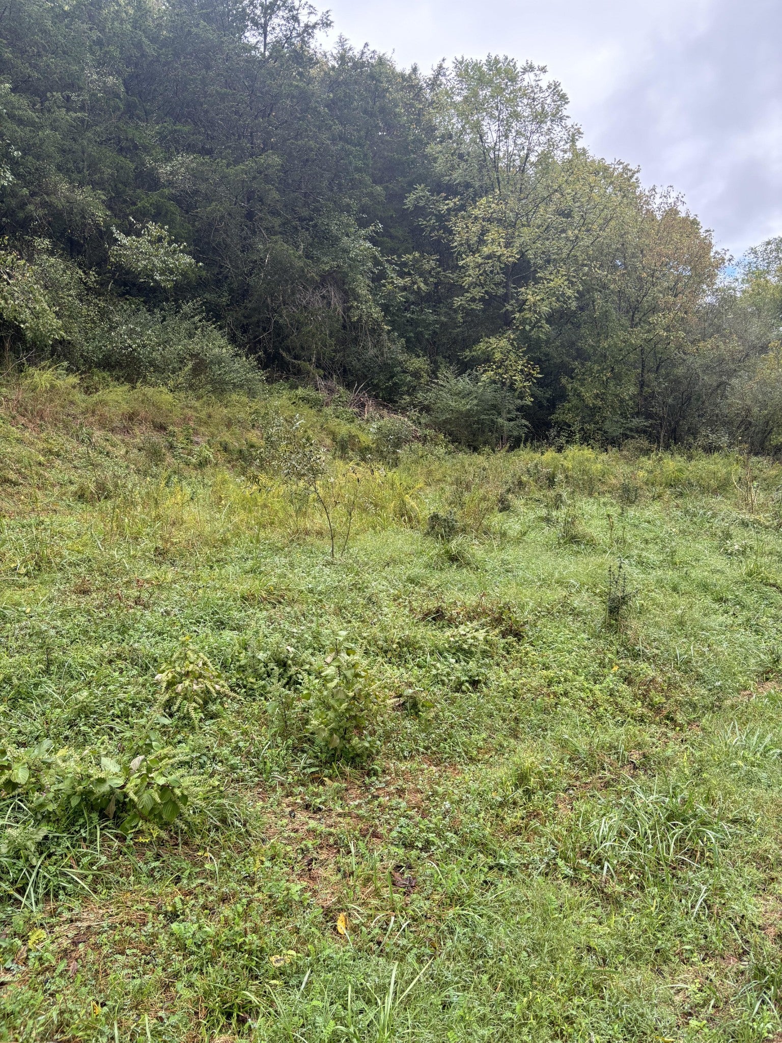 Photo of Listing #3002472