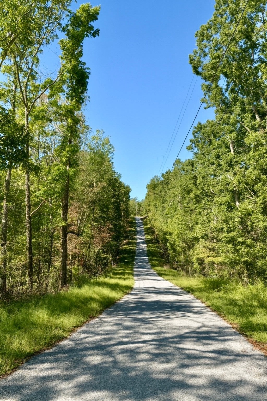 Photo of Listing #3002482