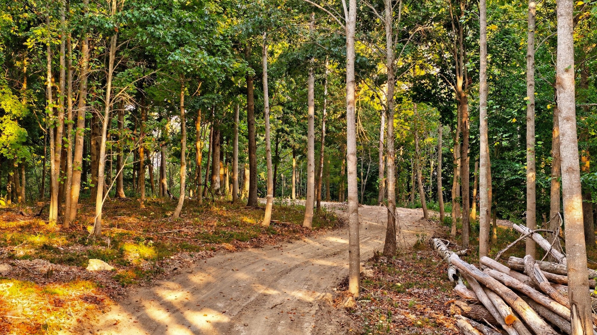 Photo of Listing #3002571