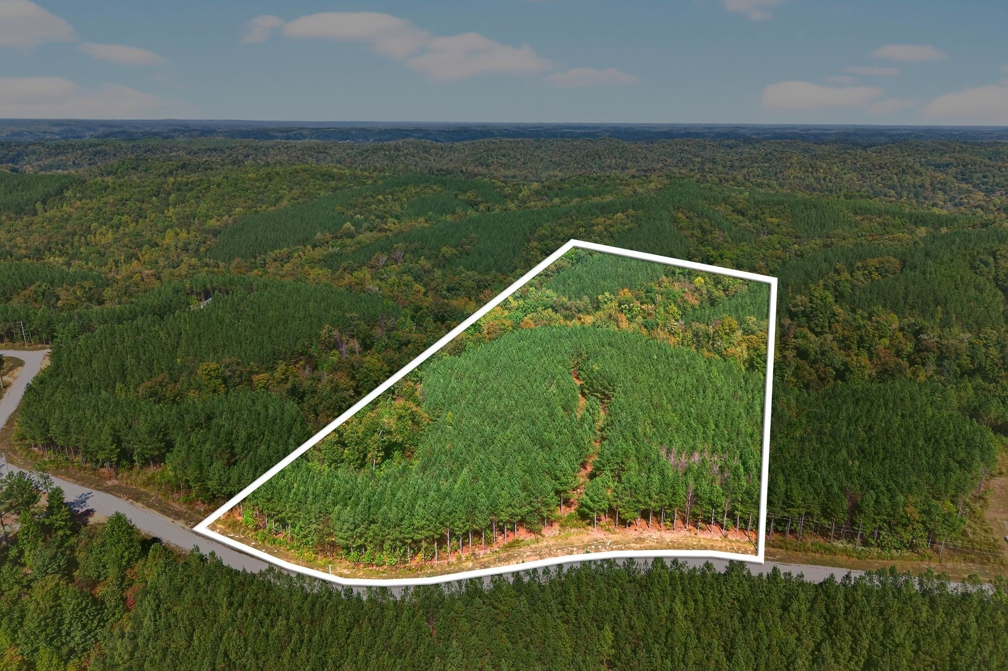 Photo of Listing #3002757