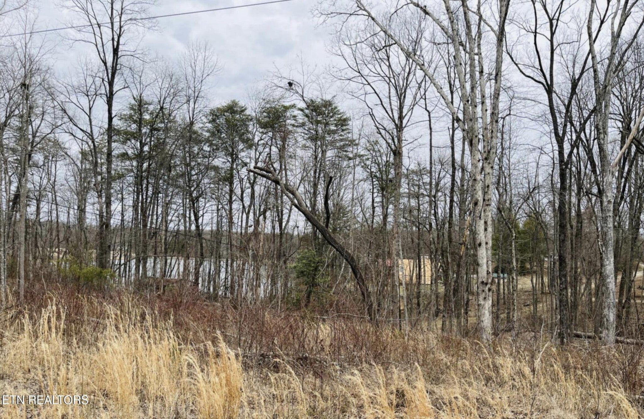 Photo of Listing #3003042