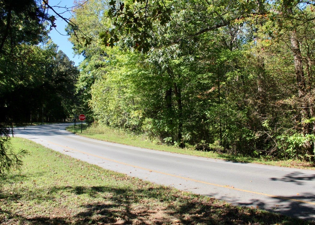 Photo of Listing #3003068