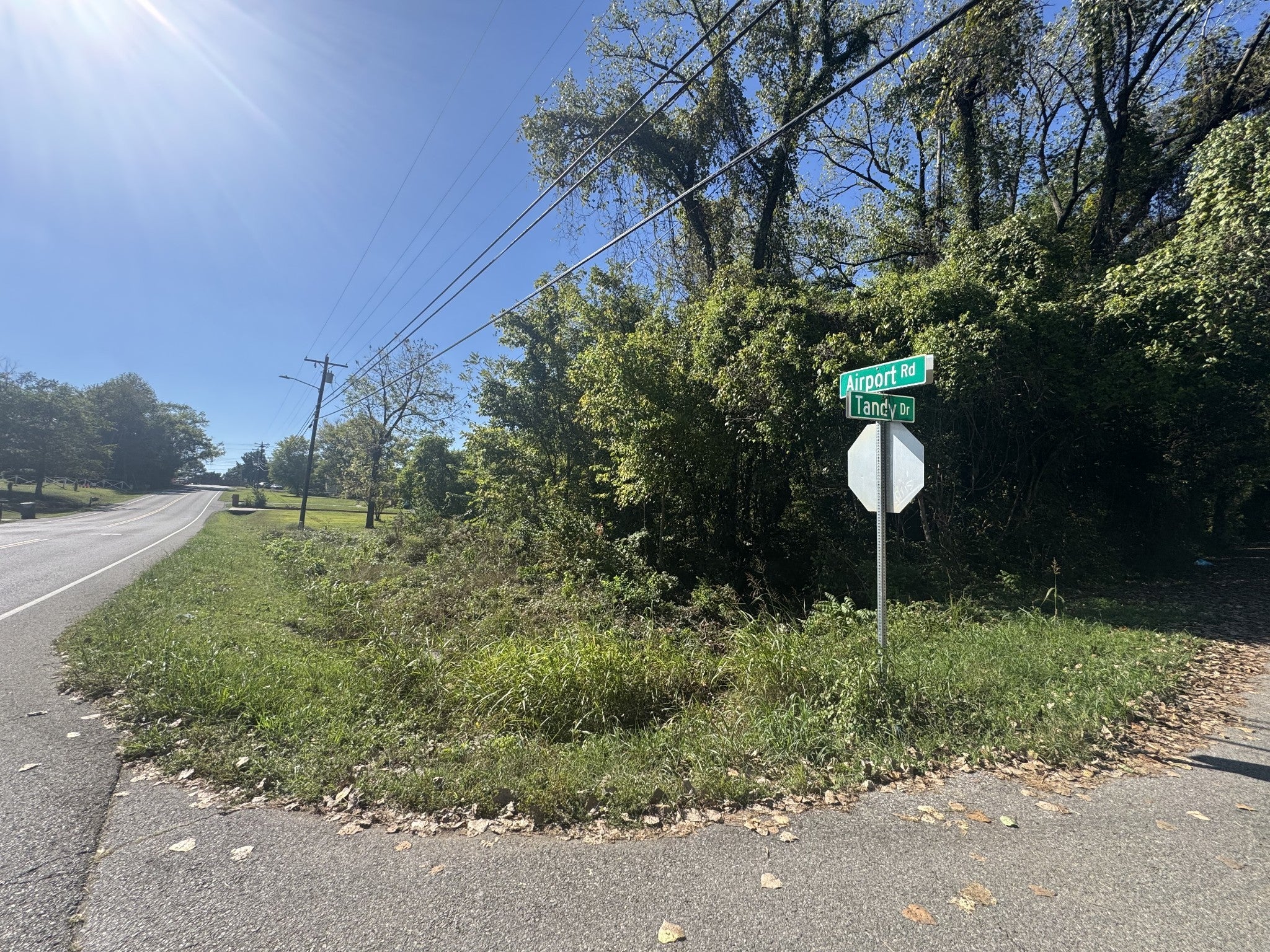 Photo of Listing #3003250