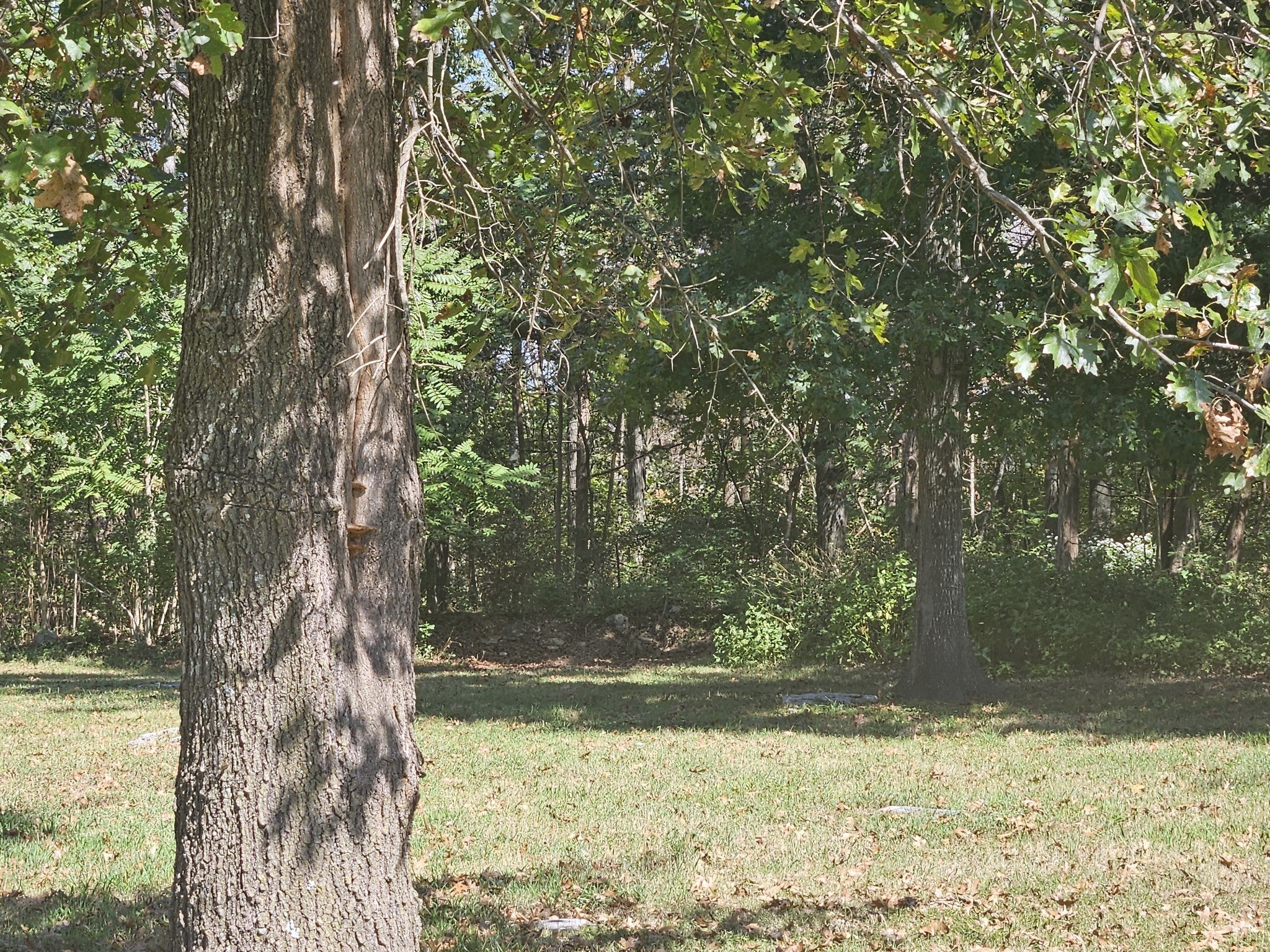 Photo of Listing #3003260