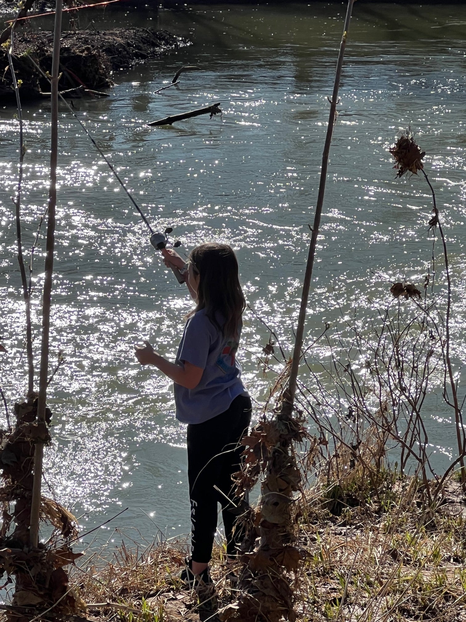 Photo of Listing #3003481