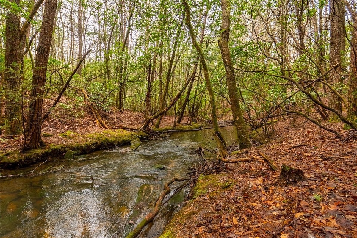 Photo of Listing #3006052