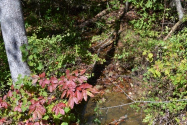 Photo of Listing #3006103