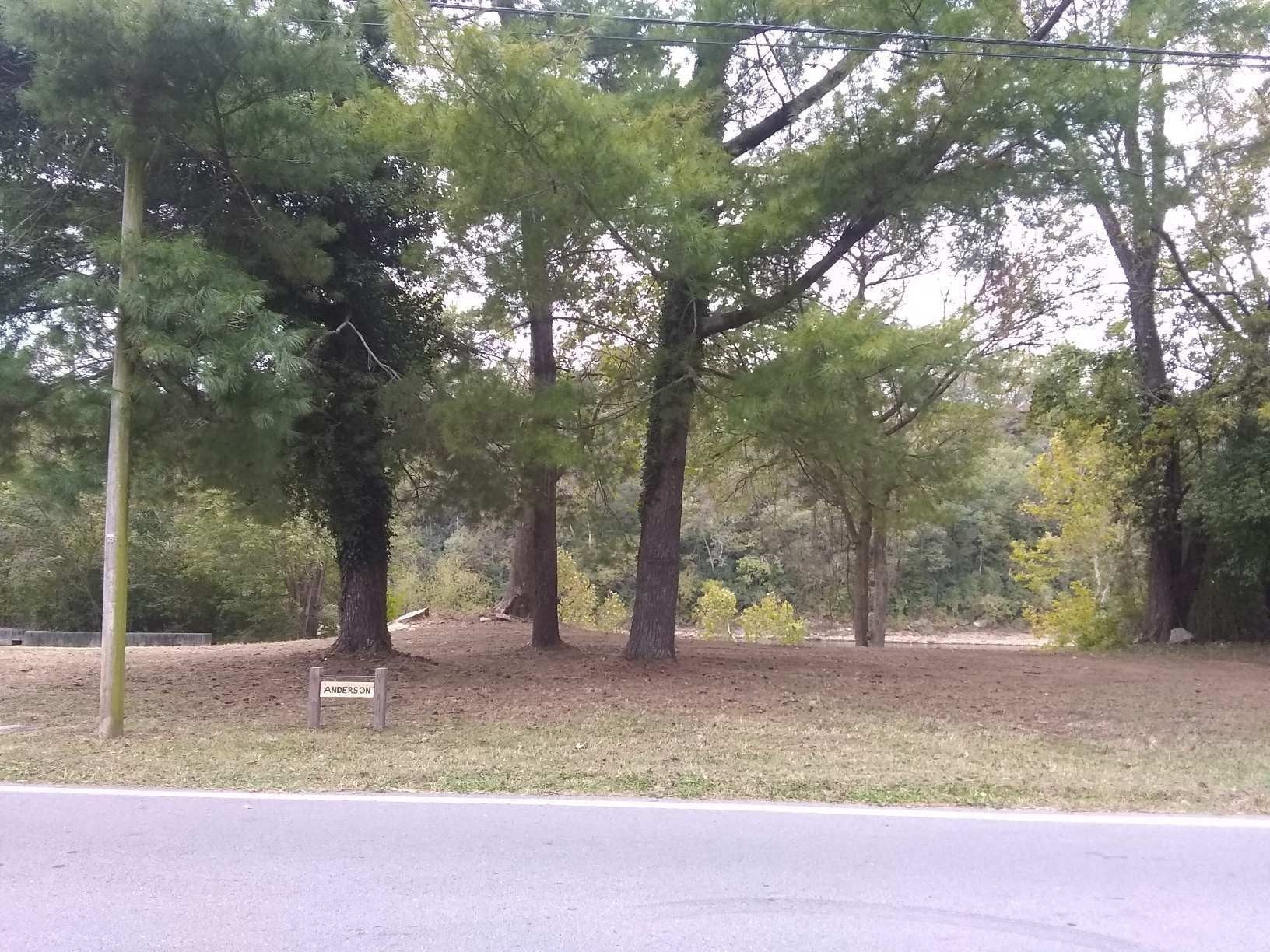 Photo of Listing #3006527