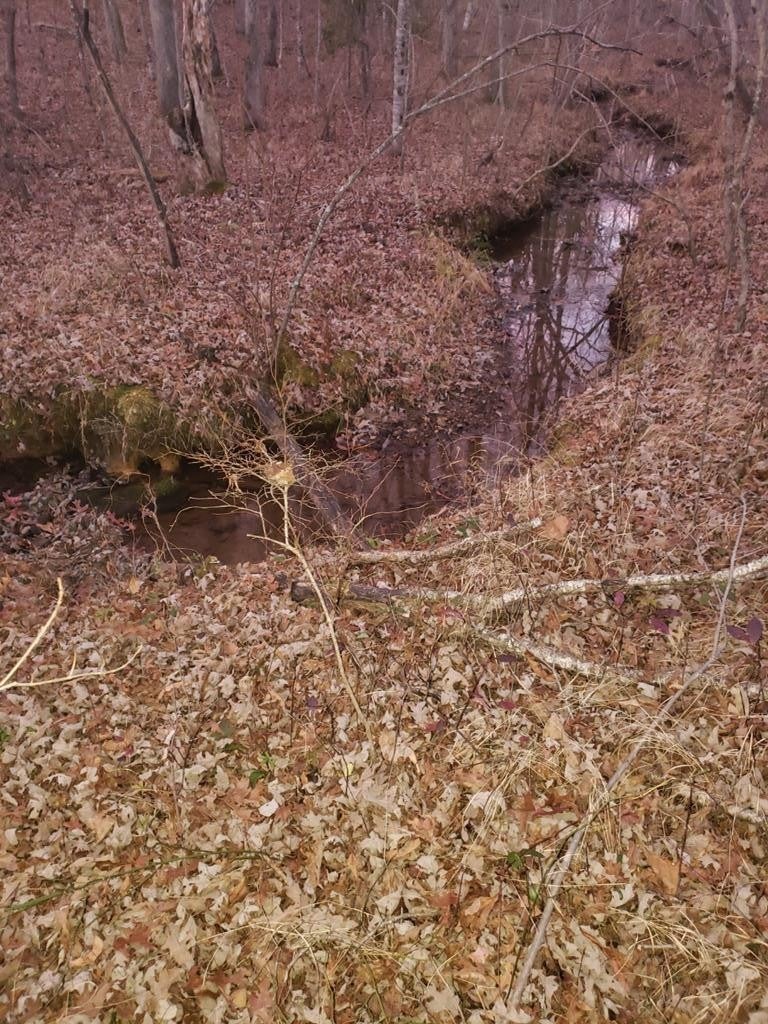 Photo of Listing #3006664