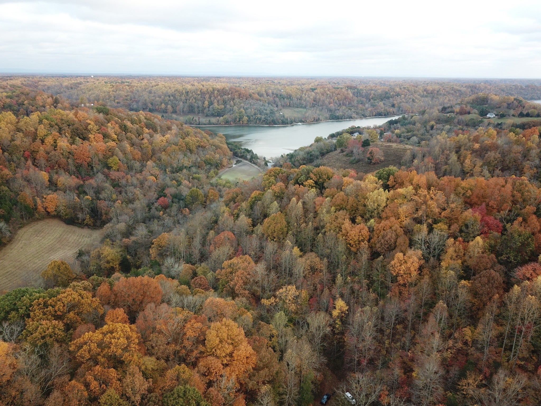 Photo of Listing #3006710