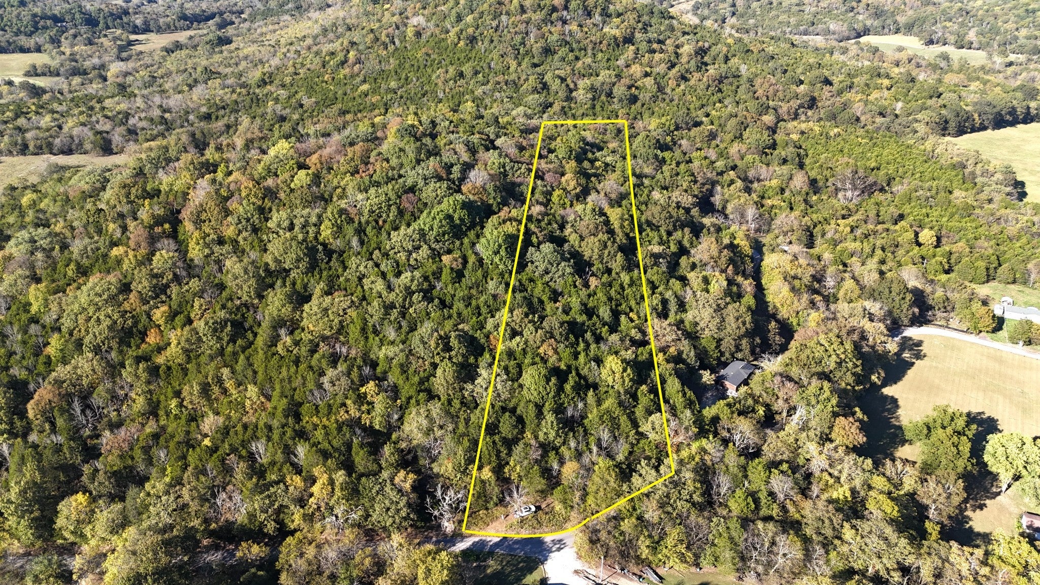 Photo of Listing #3006713