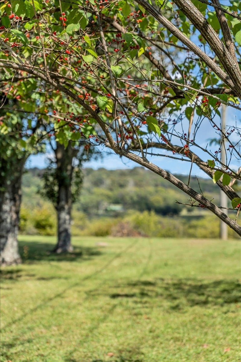 Photo of Listing #3006967