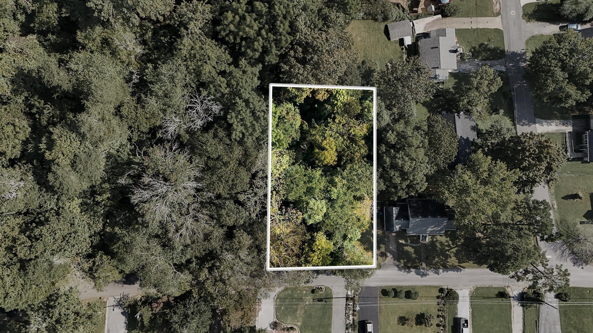 Photo of Listing #3007337