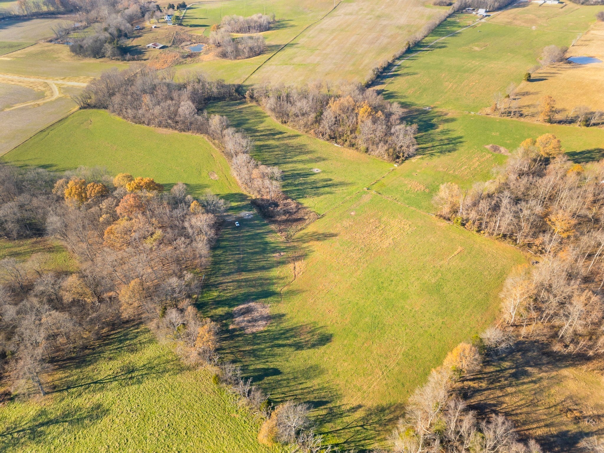 Photo of Listing #3007659