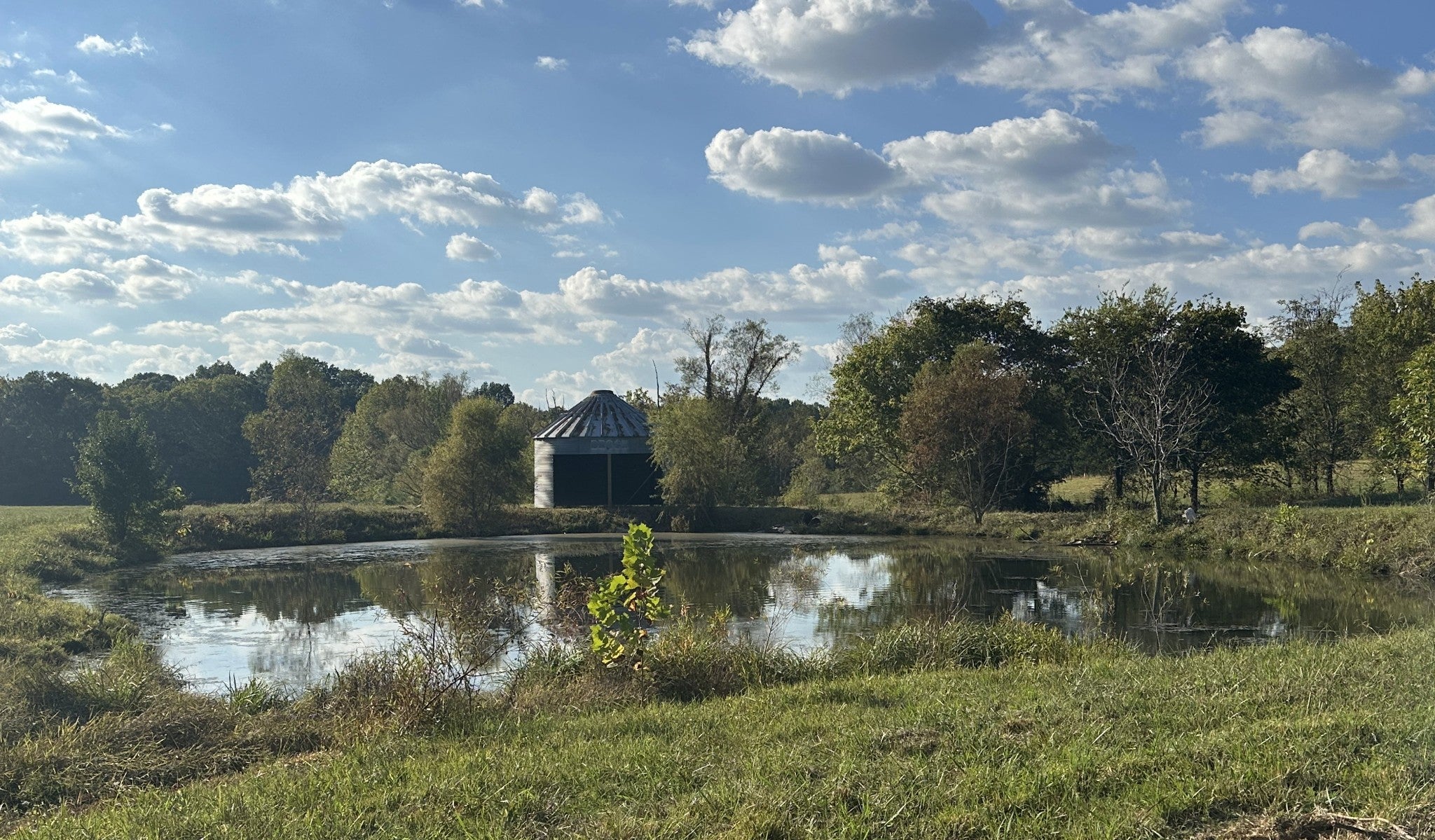 Photo of Listing #3007722