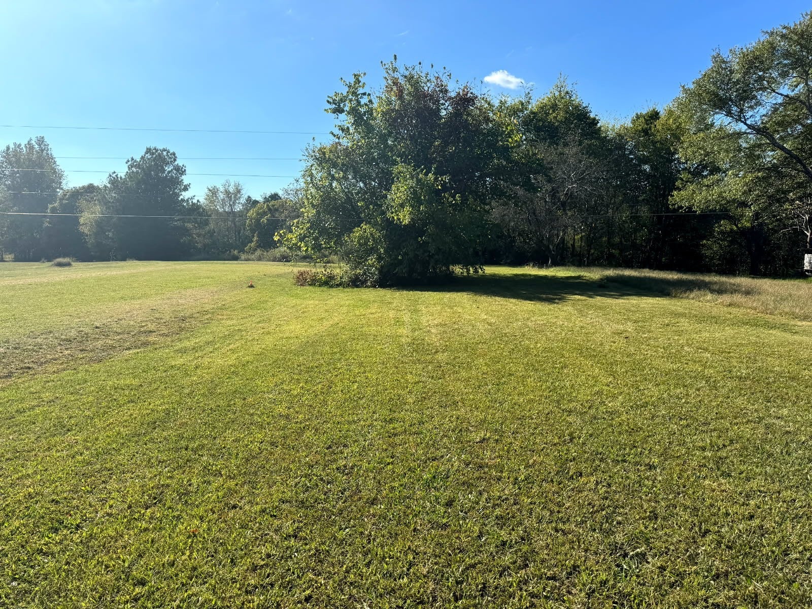 Photo of Listing #3007983