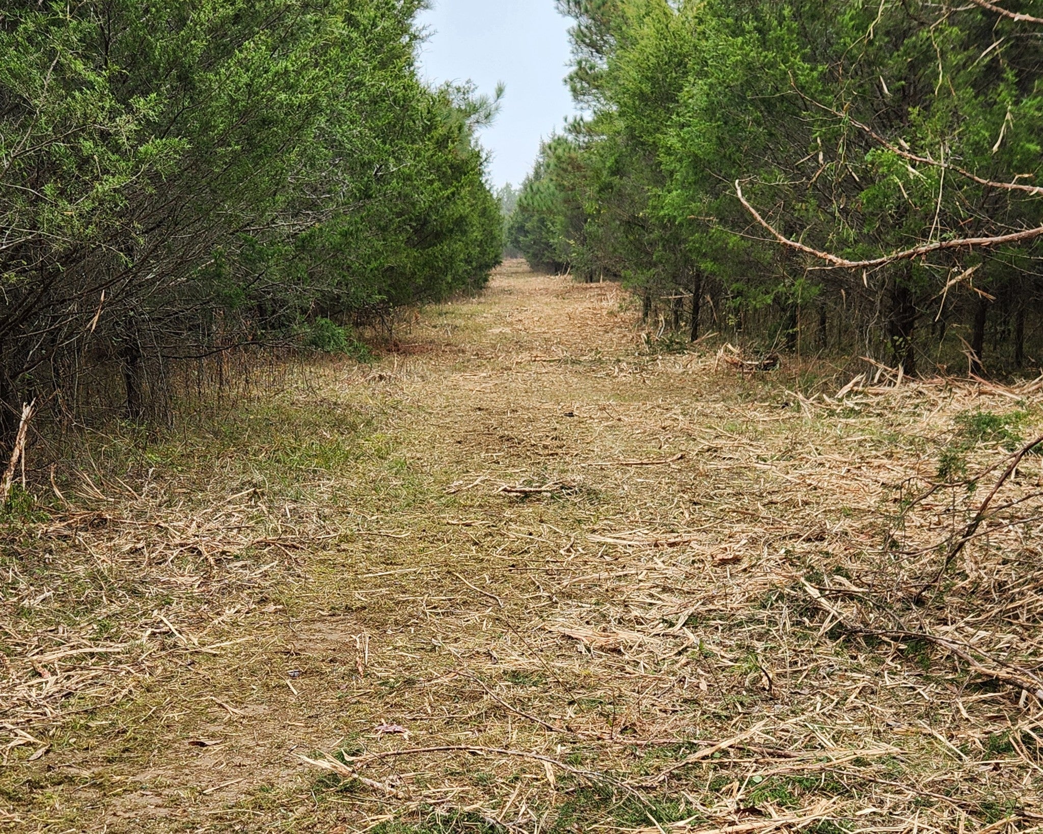 Photo of Listing #3008135