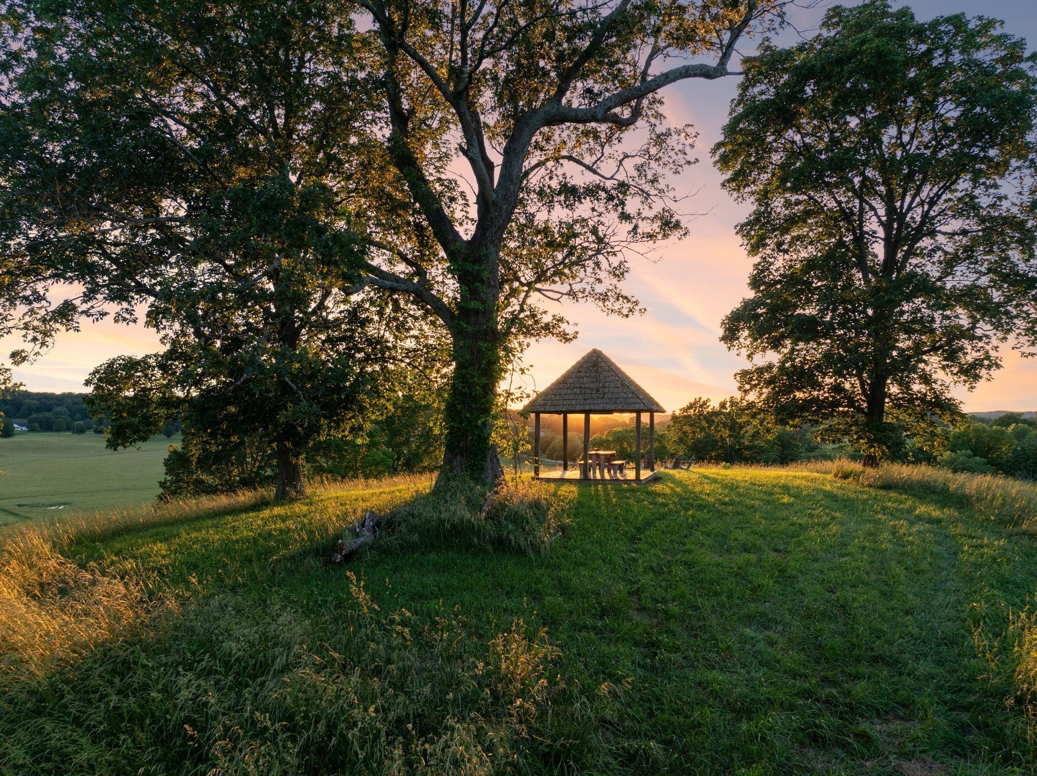 Photo of Listing #3008893