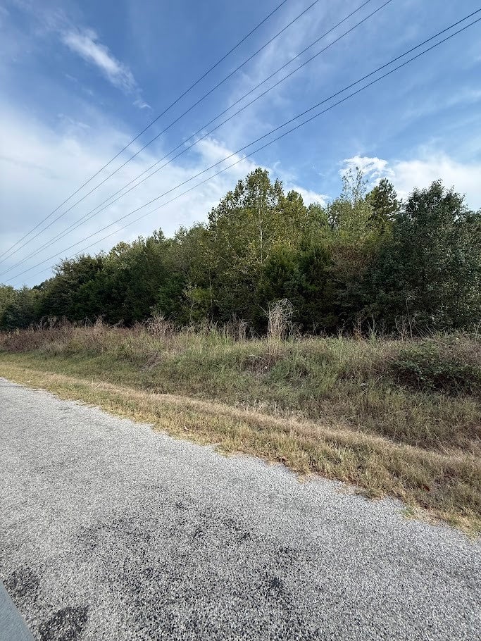 Photo of Listing #3008907