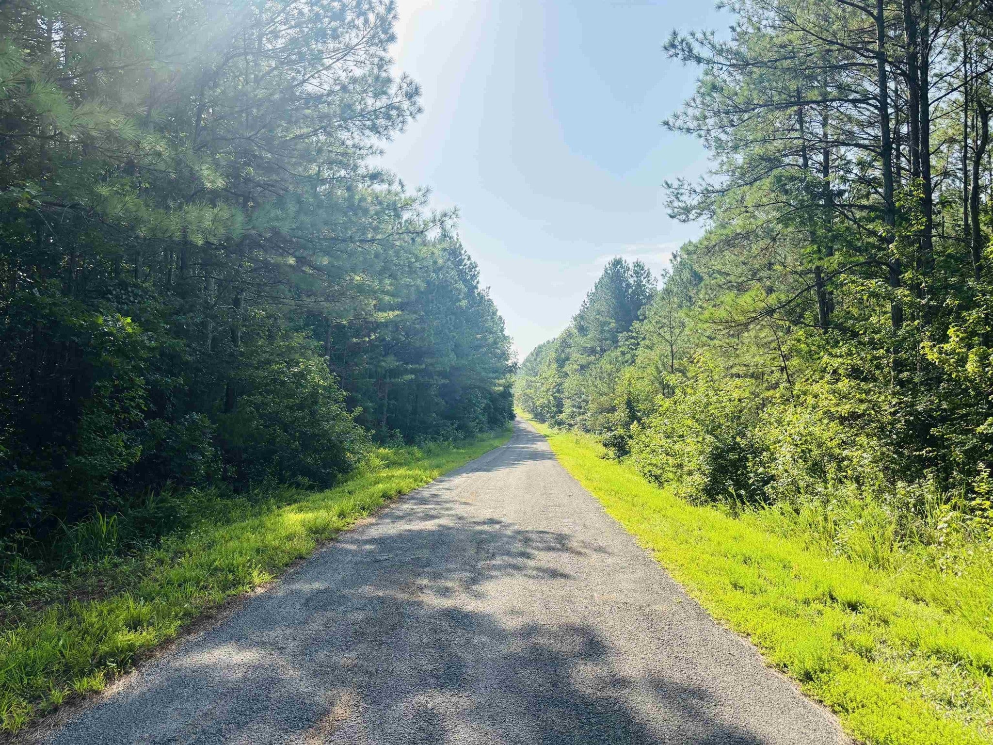 Photo of Listing #3009191