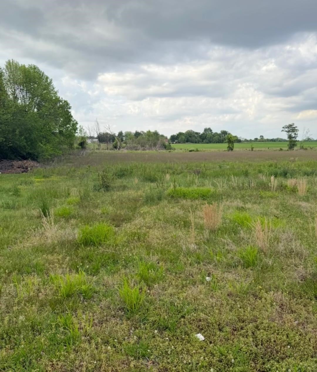 Photo of Listing #3009199