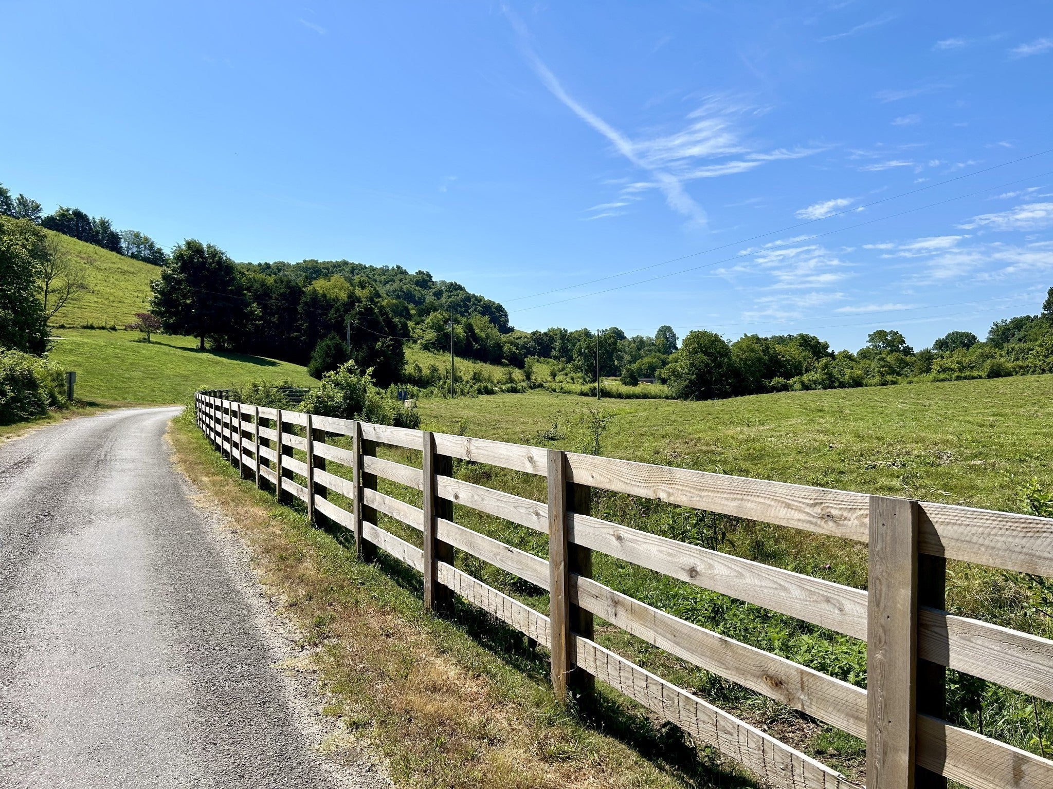 Photo of Listing #3010705