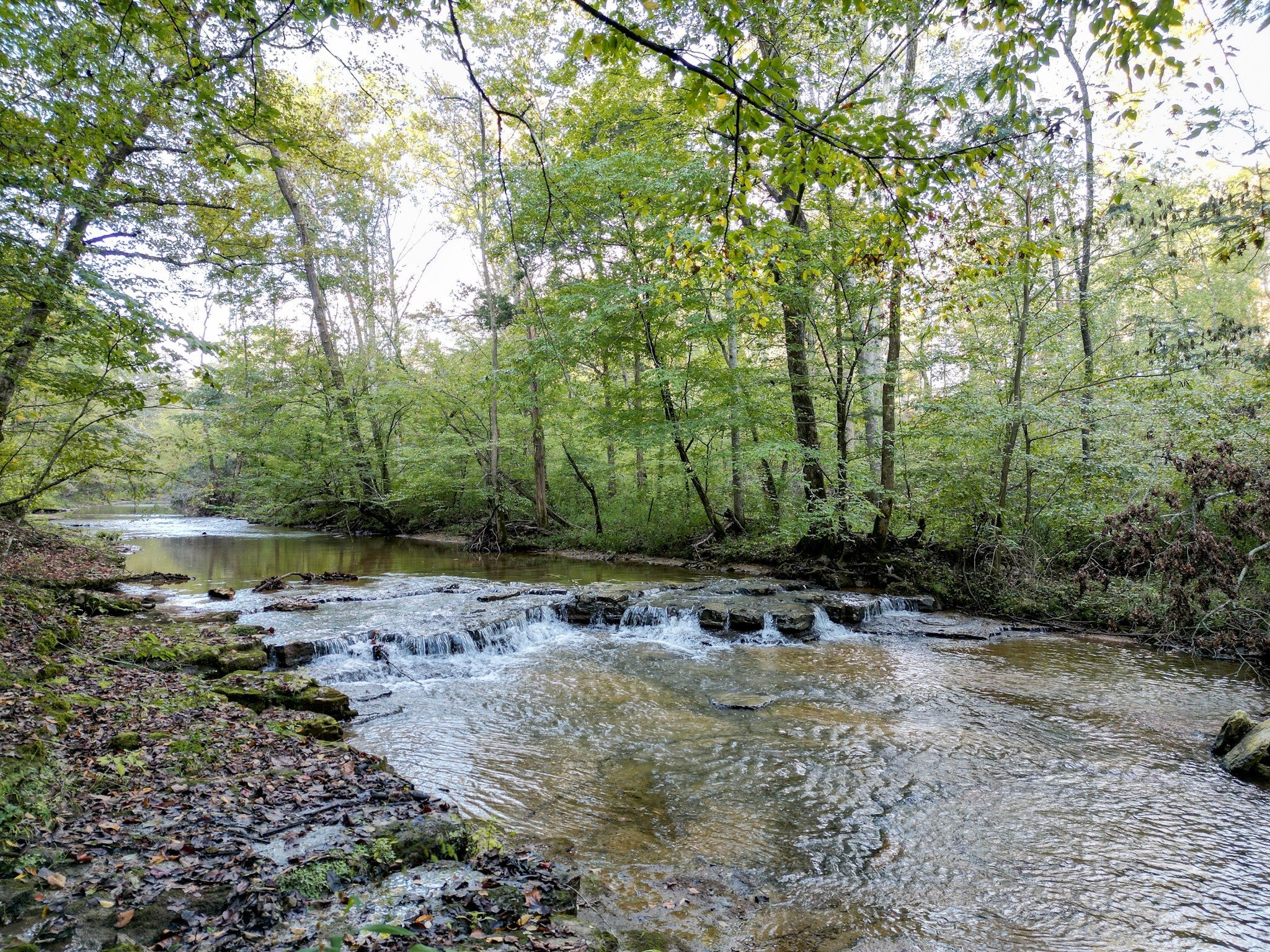 Photo of Listing #3011475