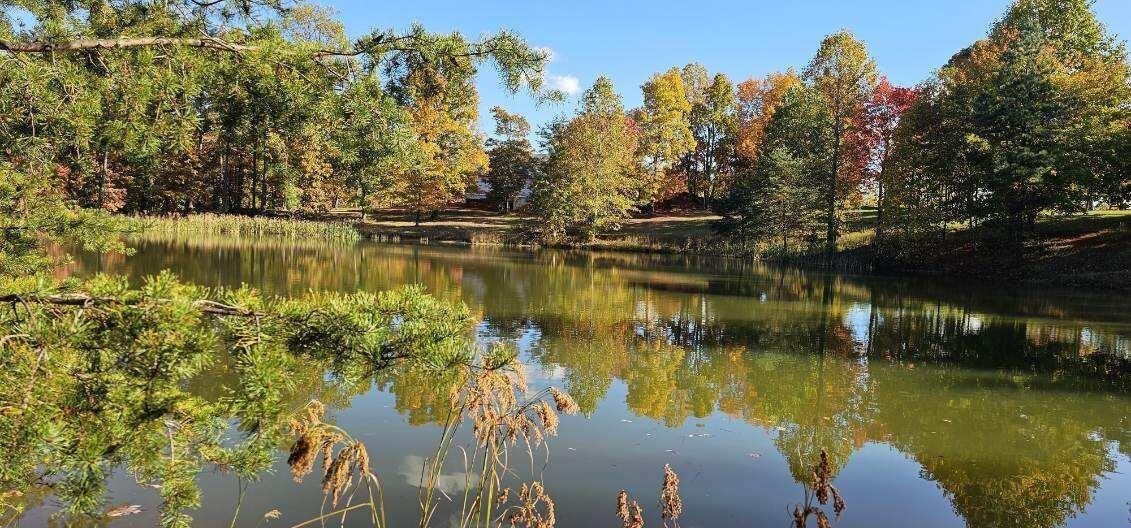 Photo of Listing #3011512