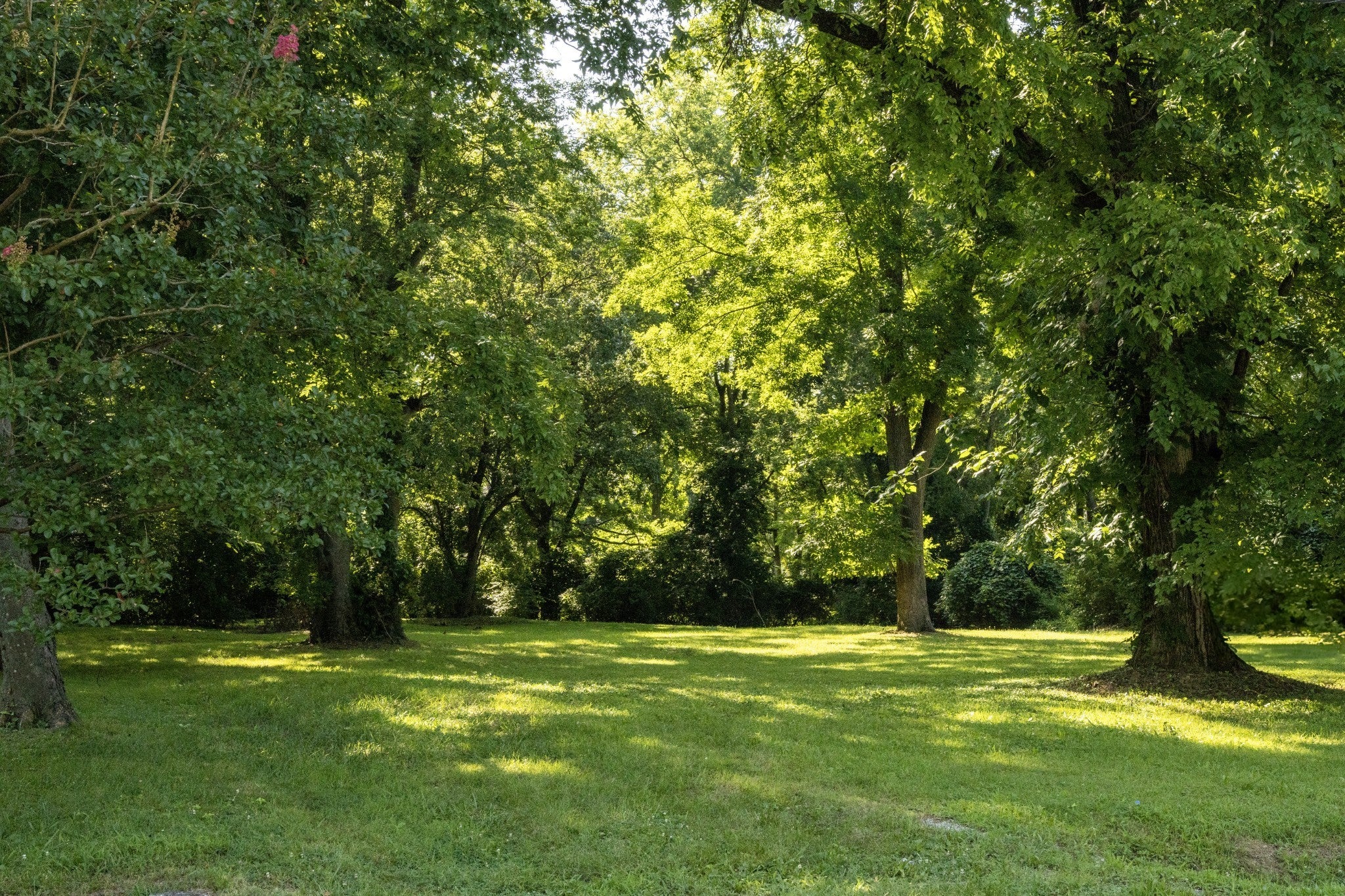 Photo of Listing #3011588