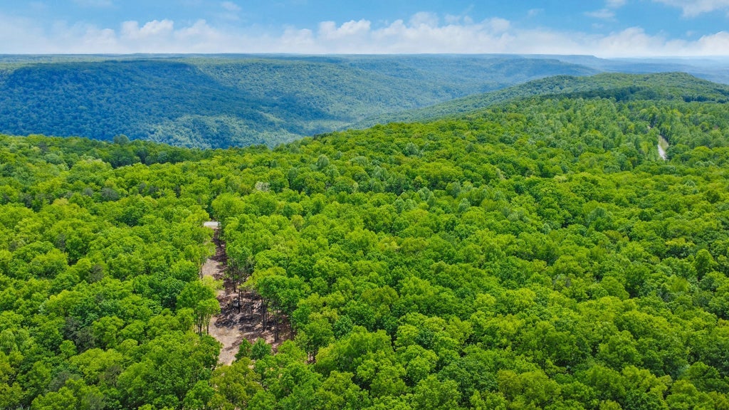 540 Cumberland Cove Rd, Monterey