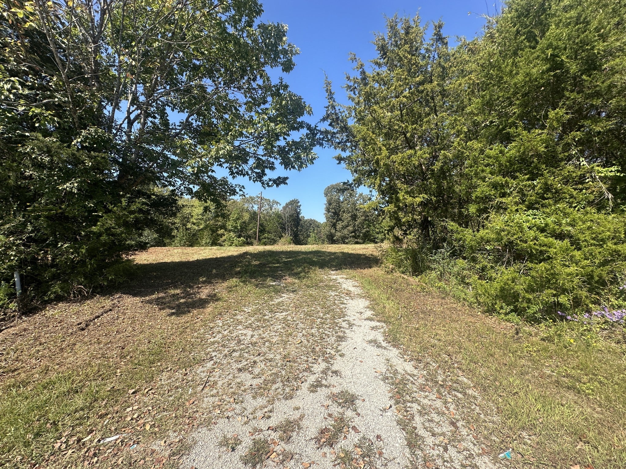 Photo of Listing #3012175