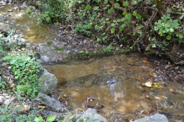 Photo of Listing #3012263