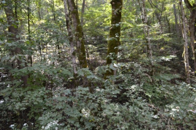 Photo of Listing #3012263