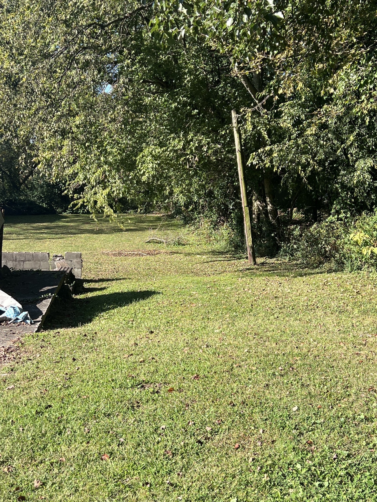 Photo of Listing #3012266