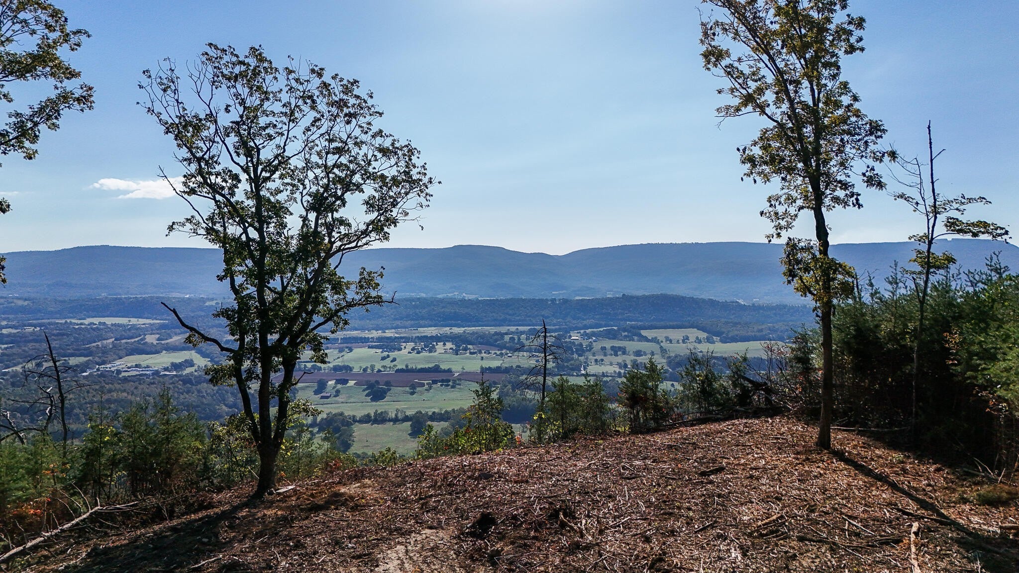 Photo of Listing #3012371