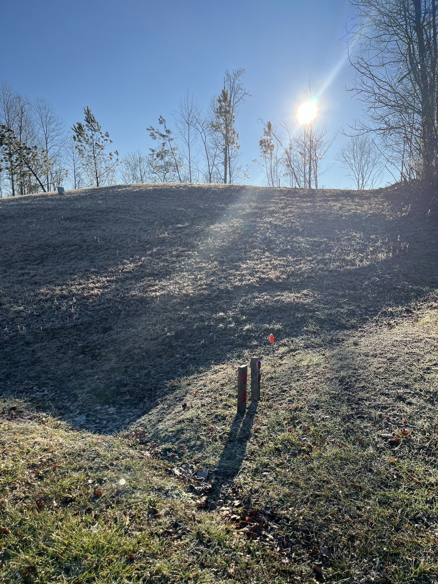 Photo of Listing #3012431