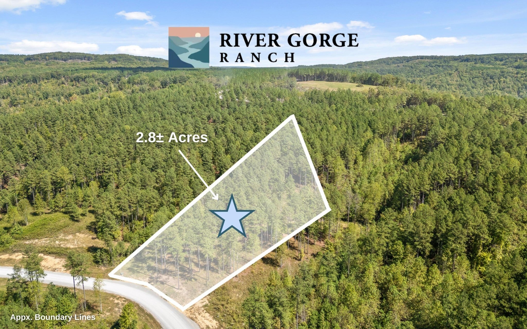 Photo of Listing #3012513