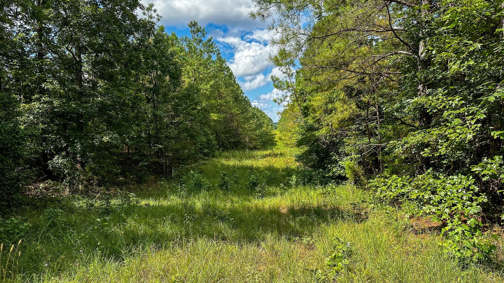 Photo of Listing #3012581