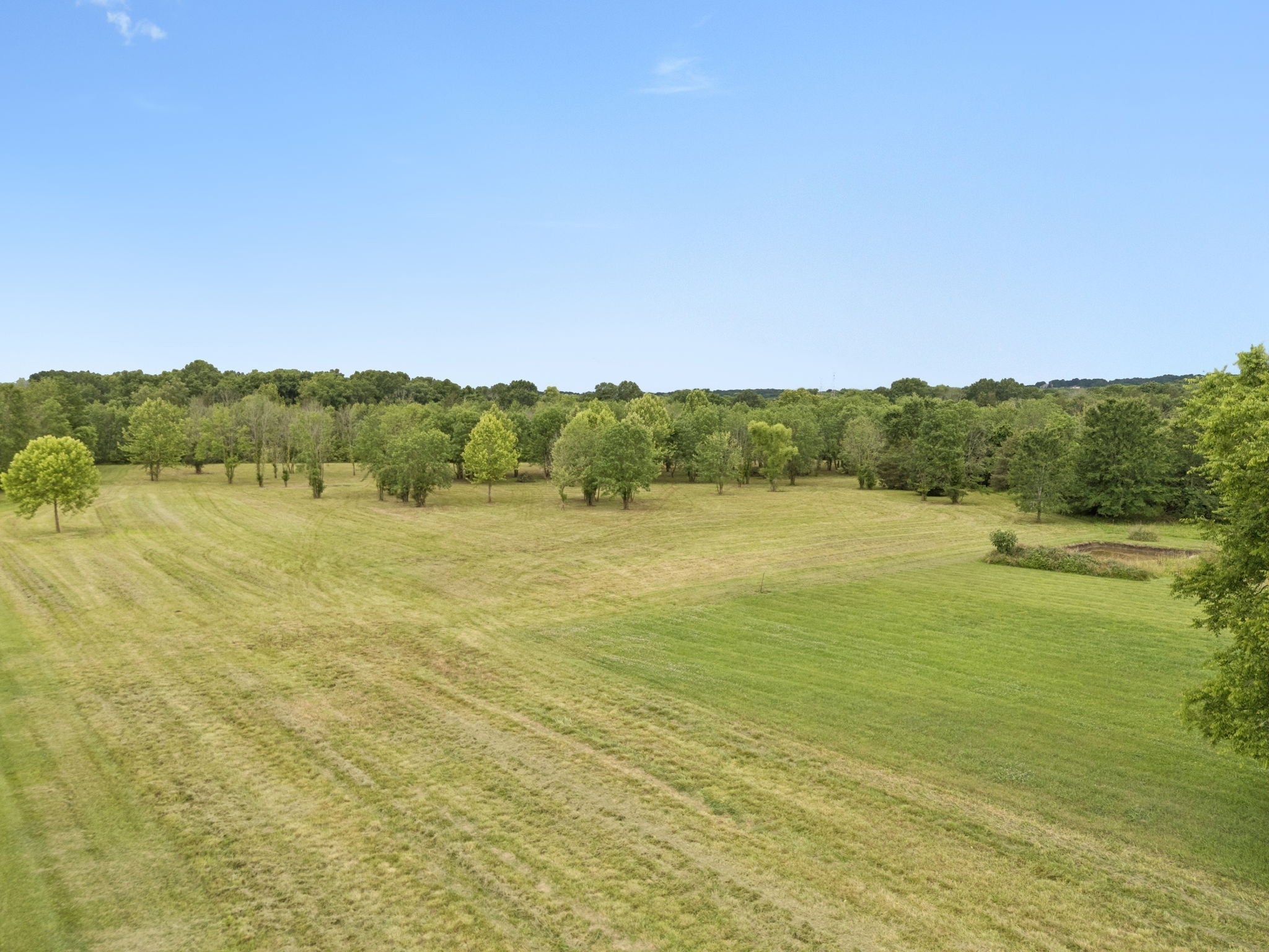 Photo of Listing #3012744