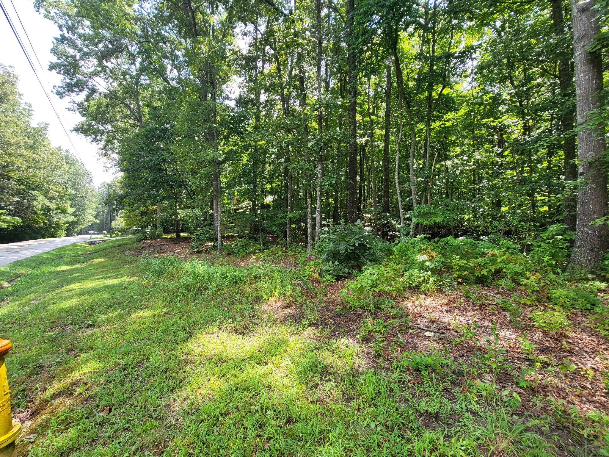 Photo of Listing #3012784