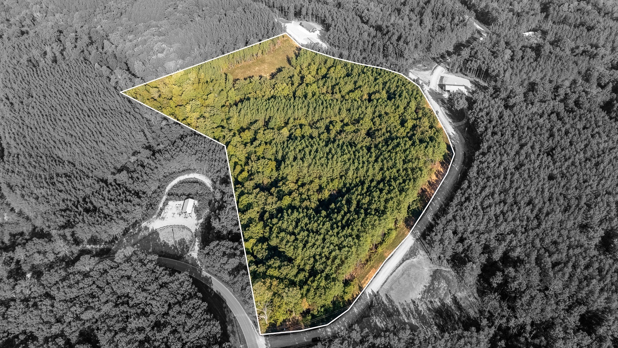 Photo of Listing #3012946