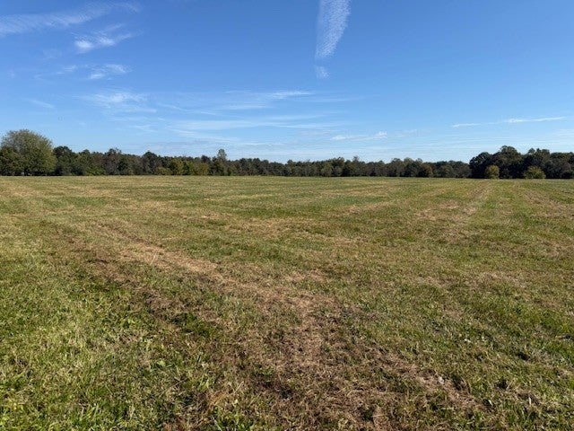 Photo of Listing #3012960