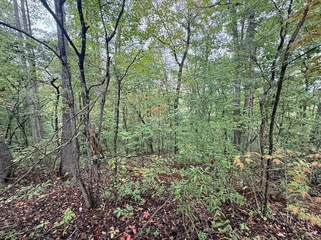 Photo of Listing #3012977