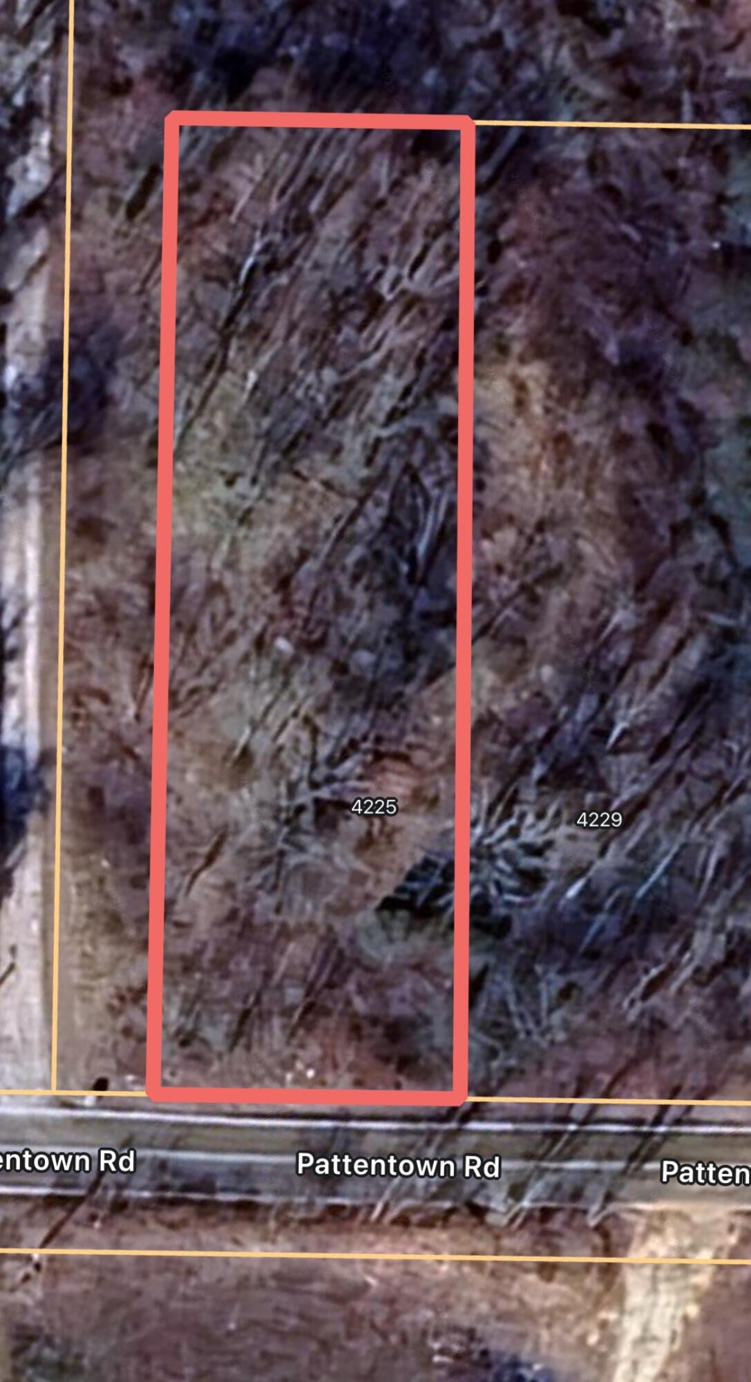 Photo of Listing #3013185