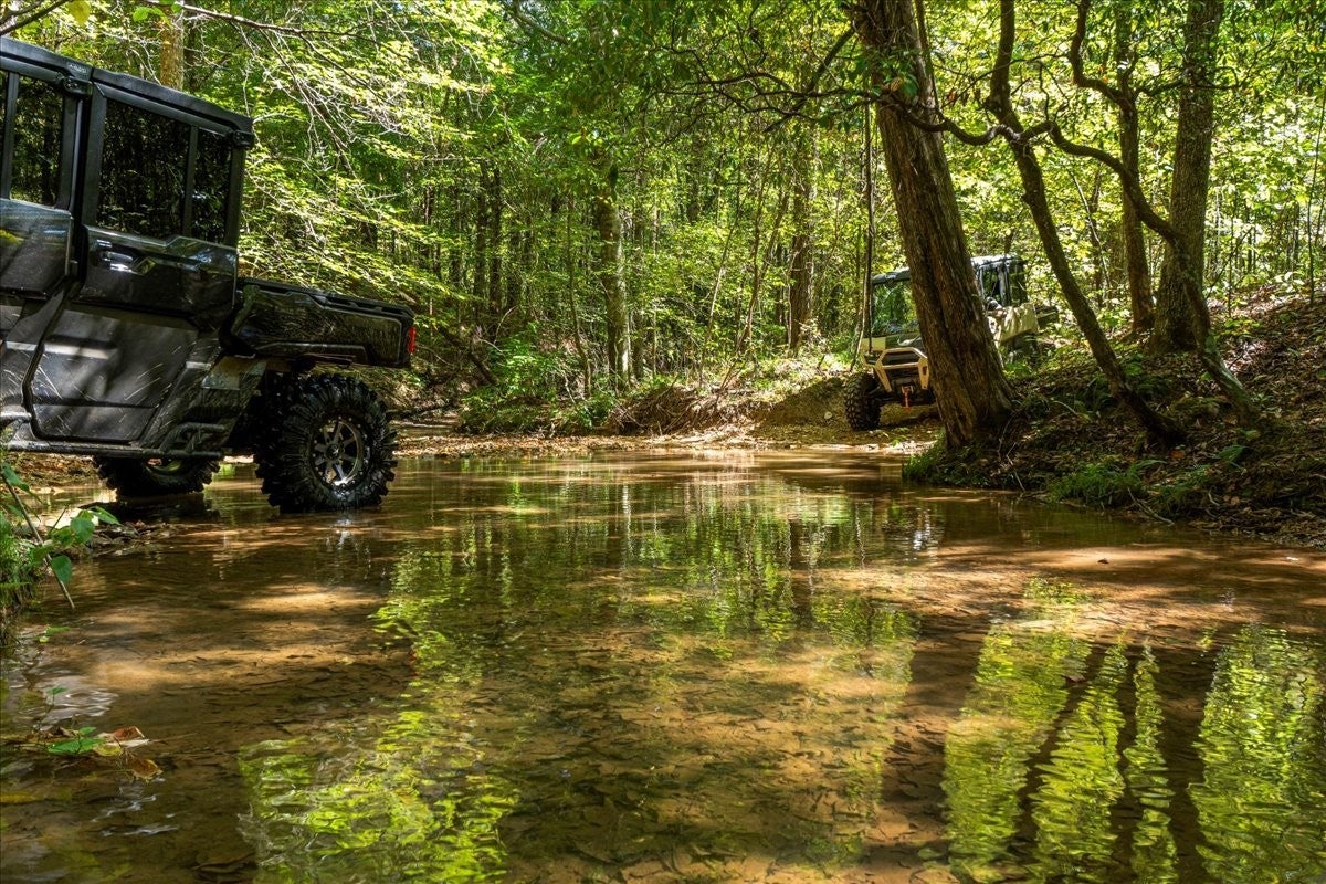 Photo of Listing #3013425