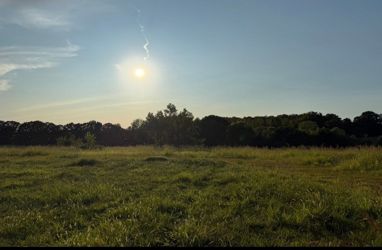 Photo of Listing #3013509