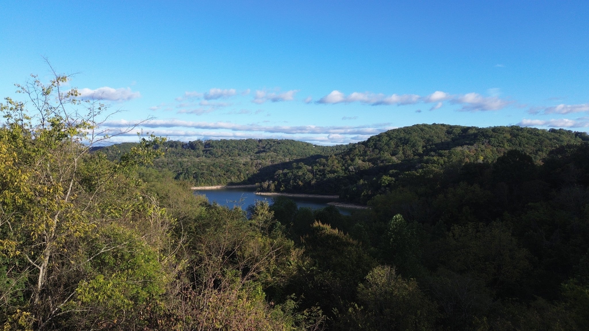 Photo of Listing #3013864